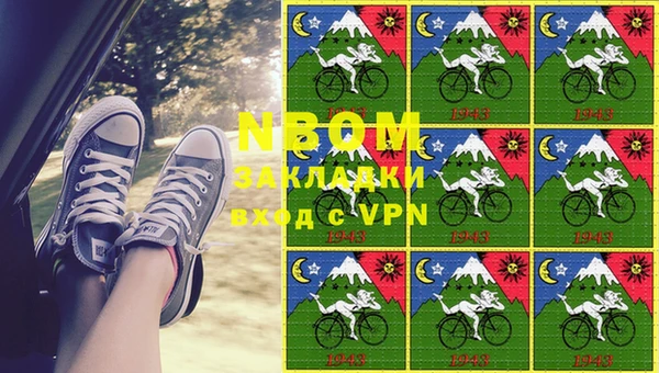 круглые Белокуриха