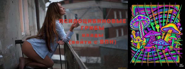 молекула духа Беломорск