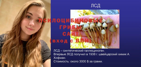 круглые Белокуриха