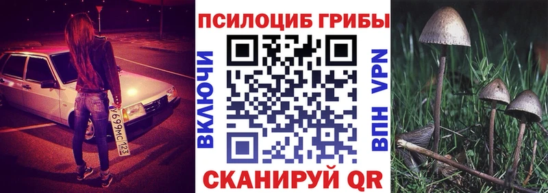 Галлюциногенные грибы Magic Shrooms  Тимашёвск 